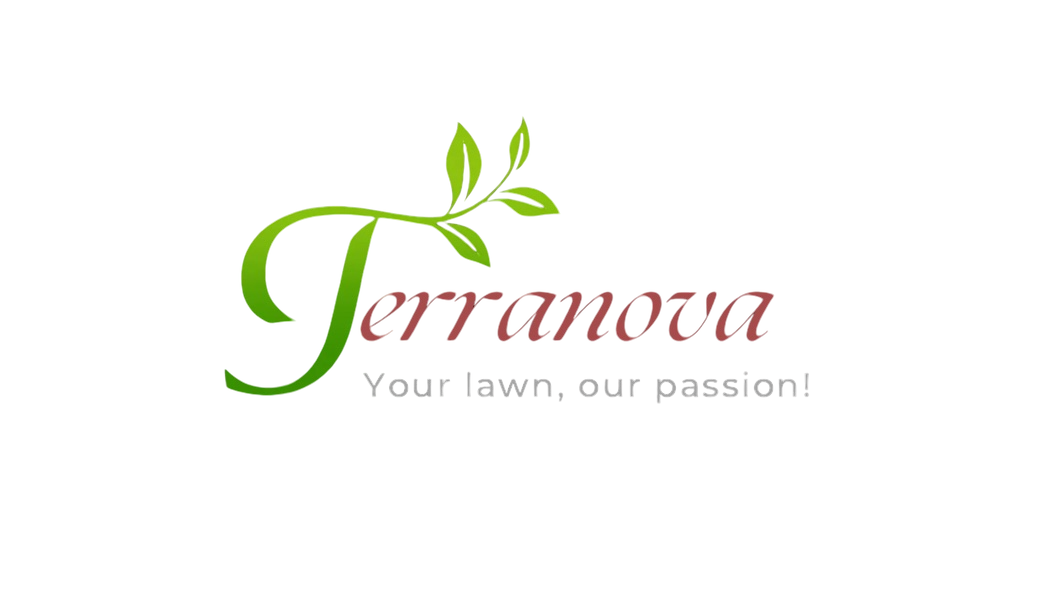 Terranova